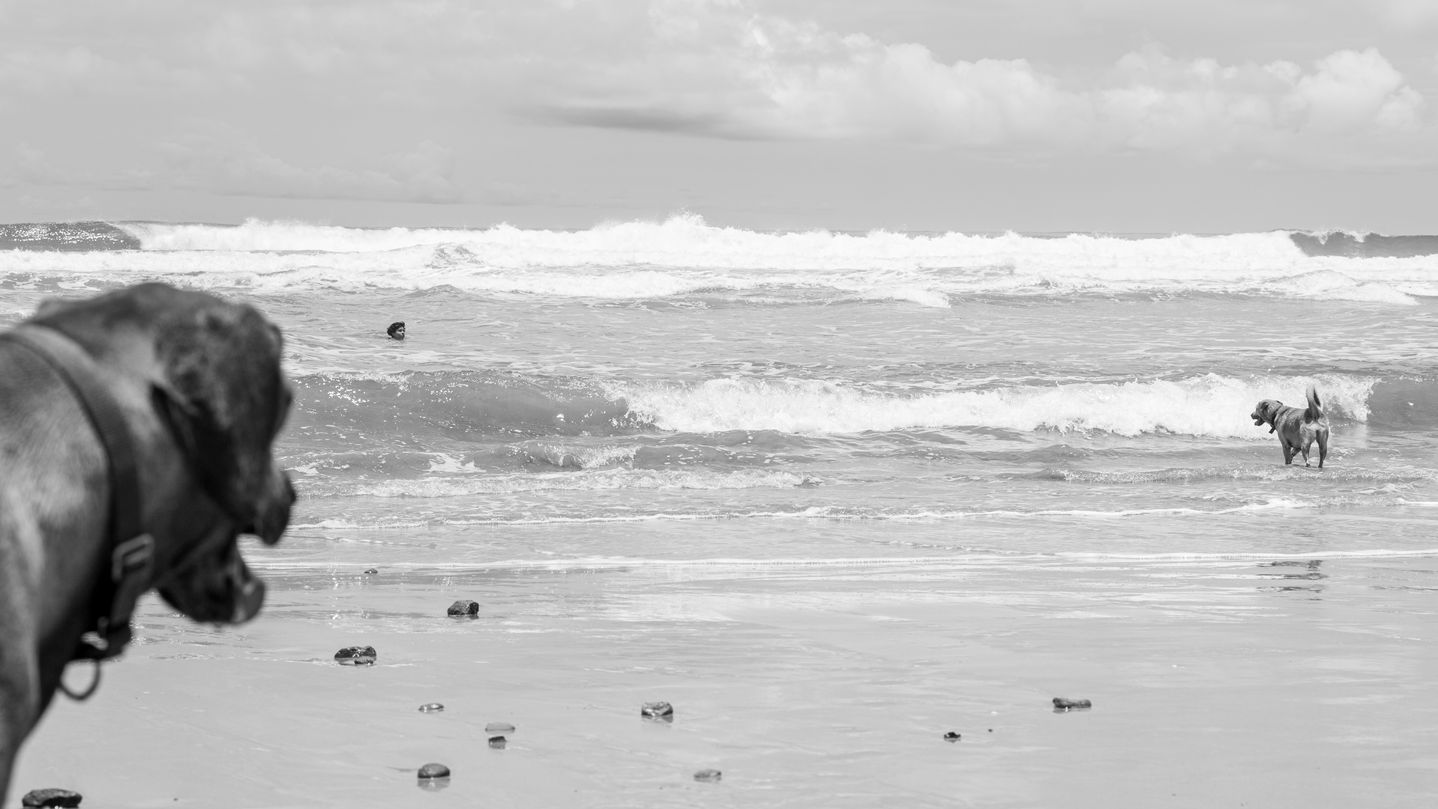 Santa (20 of 36).jpg