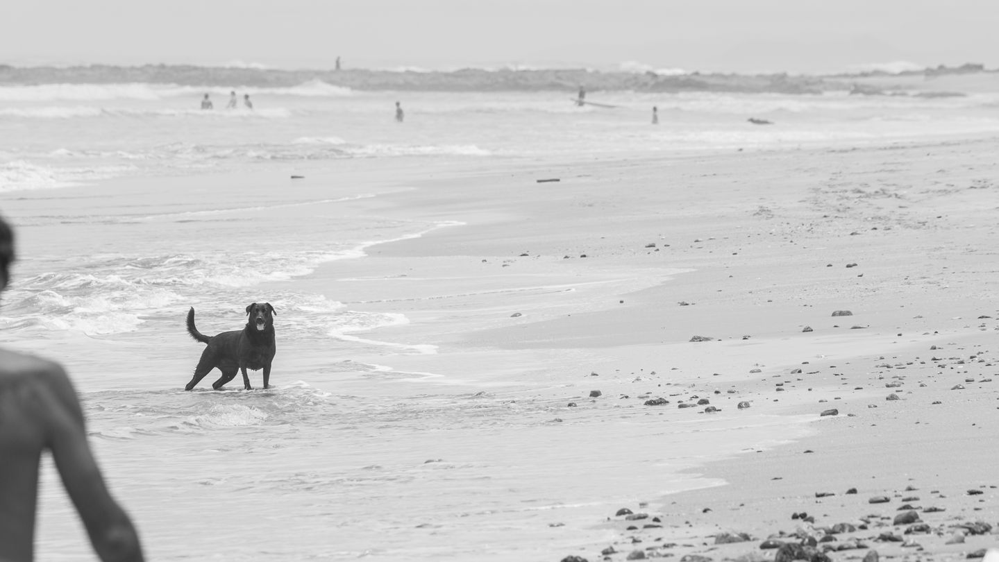 Santa (10 of 36).jpg