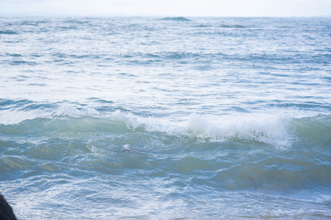 LADYWATER_Lowres (6 of 9).jpg