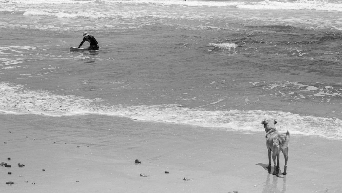 Santa (35 of 36).jpg