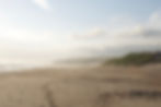 _DSC0335