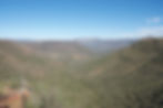_DSC0218