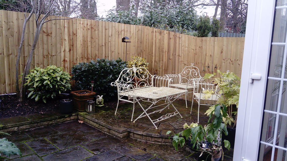 Before Image