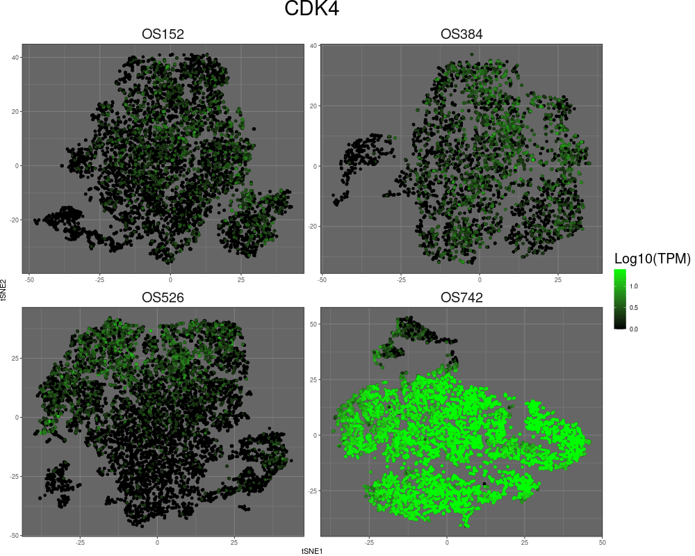 graphclust_high_variance_oncos_faster.gif