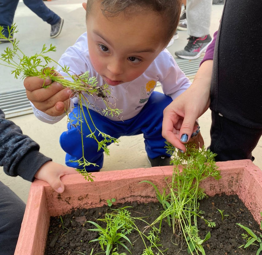 NILZA TARTUCE ESCOLA NA MODALIDADE DE EDUCAÇÃO ESPECIAL- COCEC EDUCAÇÃO INFANTIL UNESCO.jp