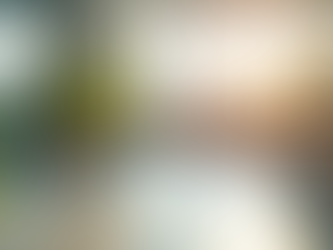 Attirer des clients et fluidifier son activité grâce au Feng Shui