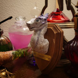 Time Dragon Hatchling Taxidermy