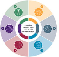 6 Goals infographic_no headings (W).jpg