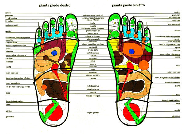 riflessologia plantare.jpg