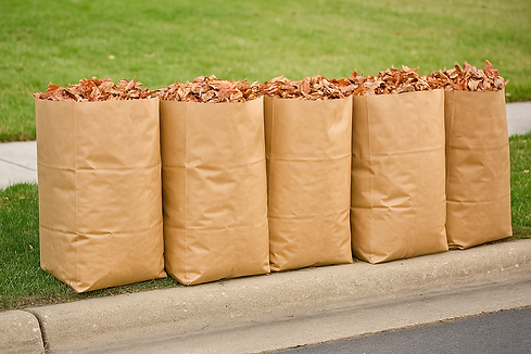 20250910_1555_Leaf Collection Bags_remix_01k4tjzvtdfbfb26425gwzydmz.png
