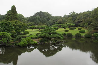 landscape 1.jpg