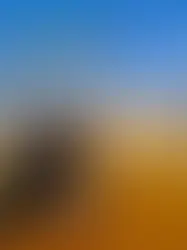 Astroturf is King! Another Win for Binghamton University Students 