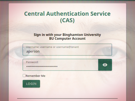 The Trials and Tribulations of an Average Binghamton Student