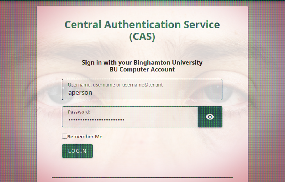 The Trials and Tribulations of an Average Binghamton Student