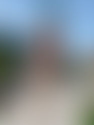 4 Creative Ways to Repurpose Your COVID Mask