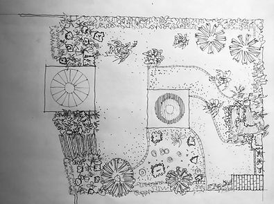 private orchard, illustration, black and white, cactus, agaves, magueys, garden, green, cactus, spines, botanical, terrestrial, botany, plant, flower, agave, maguey