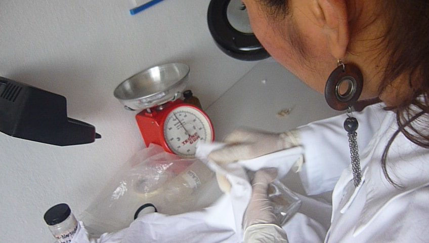 Química Forense