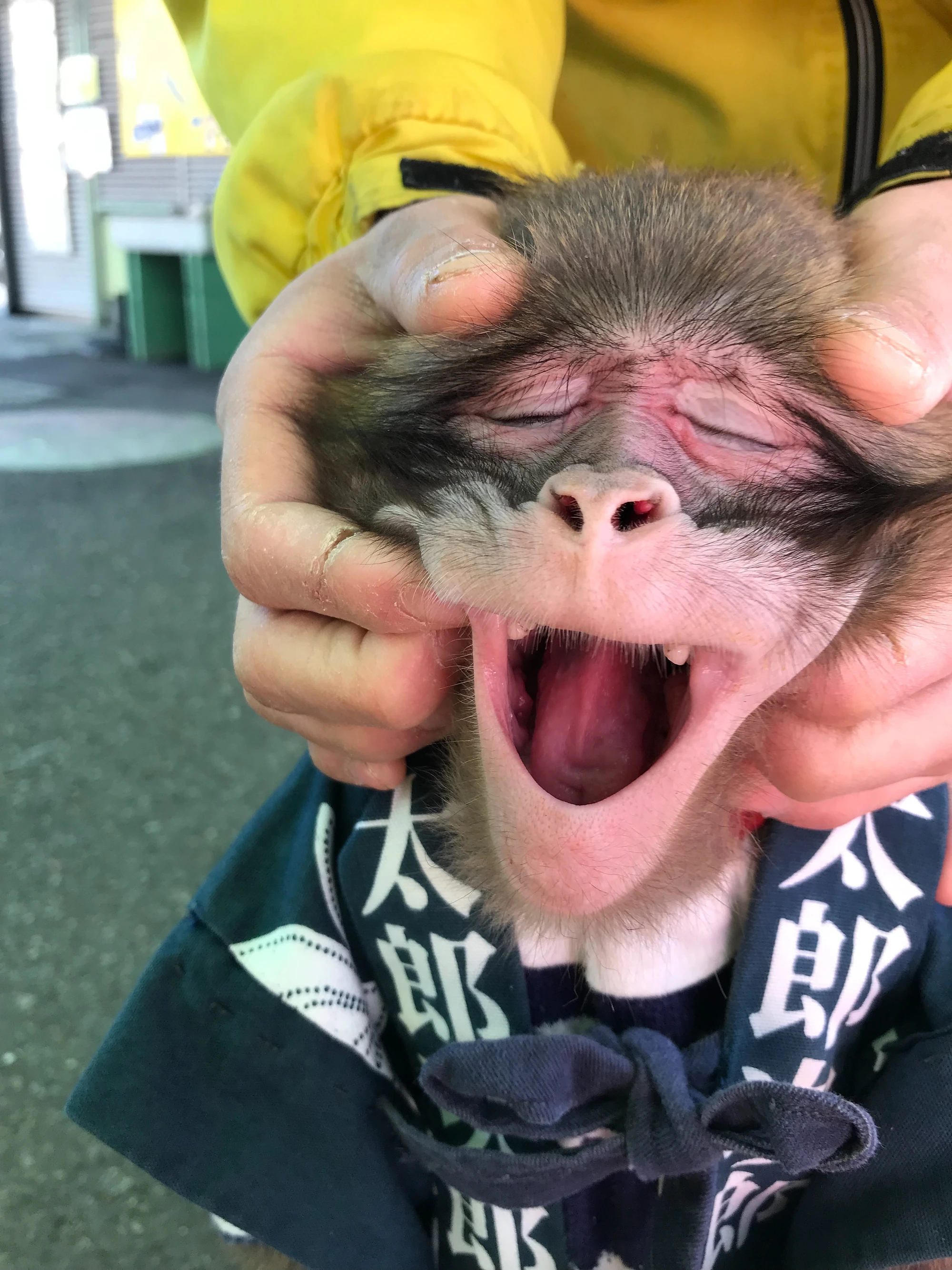 寝方の癖が凄い 寝方の癖が凄い