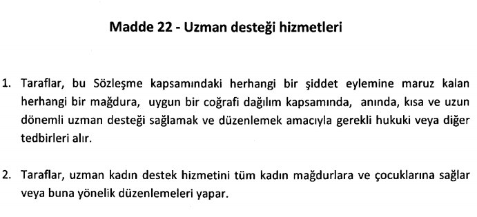 istanbul sözleşmesinin 22. maddesi