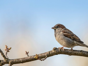 Embracing the Stillness: The Power of the Pause