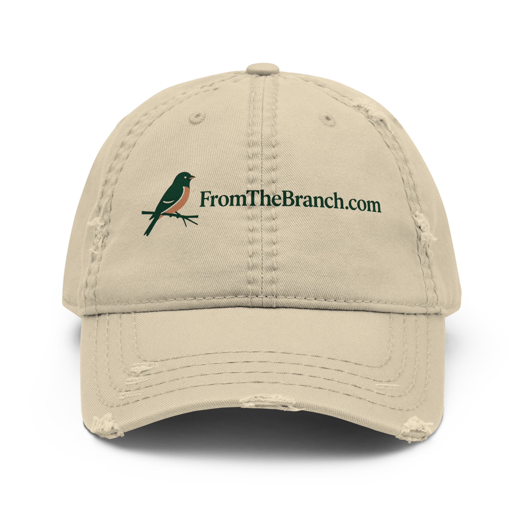 Distressed Style Hat