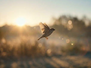 The Art of the Course Correction: Navigating the Unseen Air