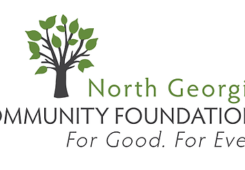 n_georgia_community_foundation_1001.png