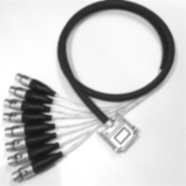 DB25 (male) to XLR (female)