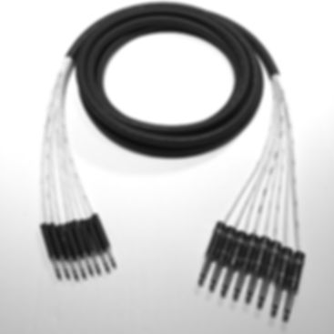 TT to 1/4" (TS) Eight Channel Snake