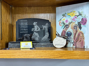 WhatsApp Image 2025-03-27 at 2.48.34 AM (1).jpeg