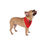 Thumbnail: MY NAME Good Dog, Bad Dog Bandana