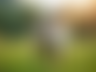 Why Goat Milk is a Game-Changer for Your Skin