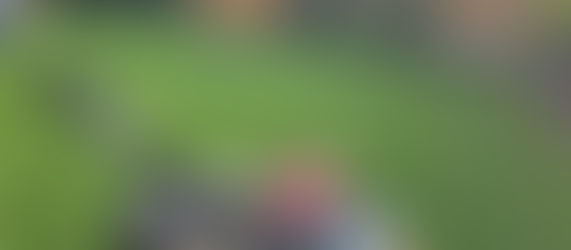 DIY Rotary Mower Servicing: Cut Costs, Cut Grass!