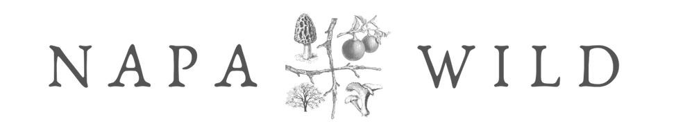 Copy of NapaWild (2).png