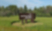 Saskatoon Island trail walk/play