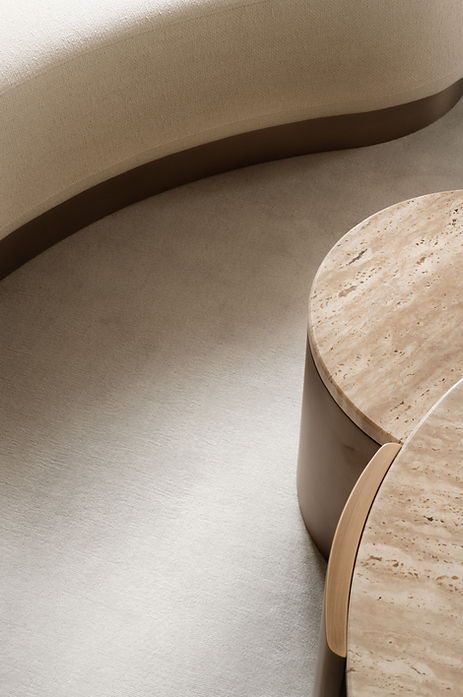 Roque Intérieurs Projet Appartement Pereire 5