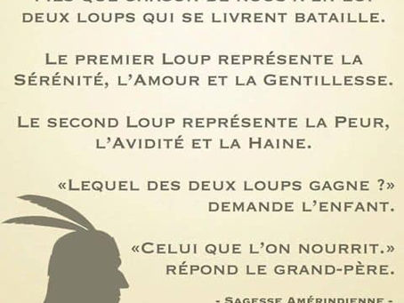 Apprendre à "nourrir le bon loup".