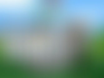 Present perfect : grammar 👍8th graders