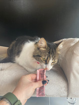 IMG_9112.jpeg