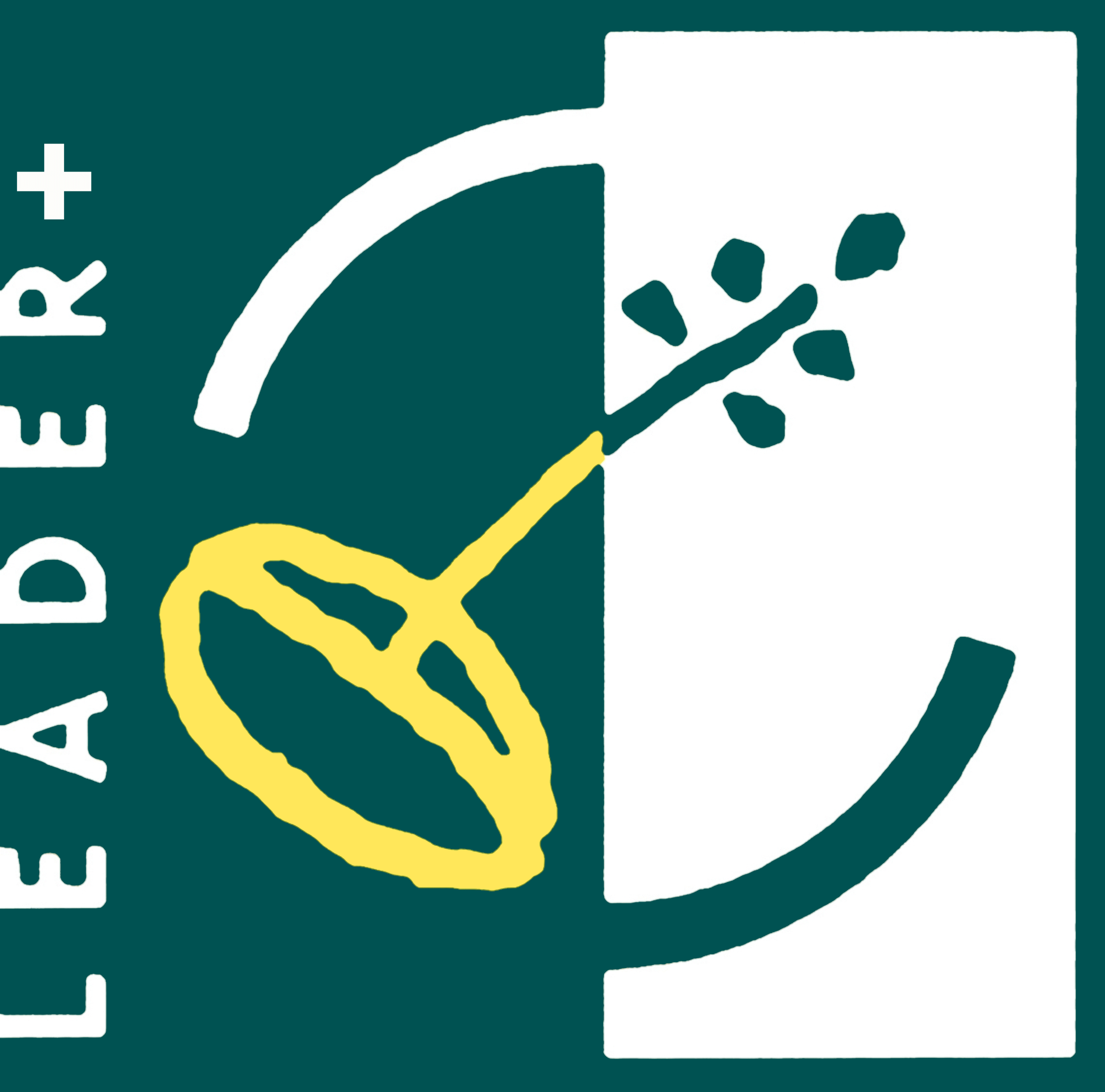 Logo leader+