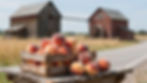 Ripe Sweet Peaches