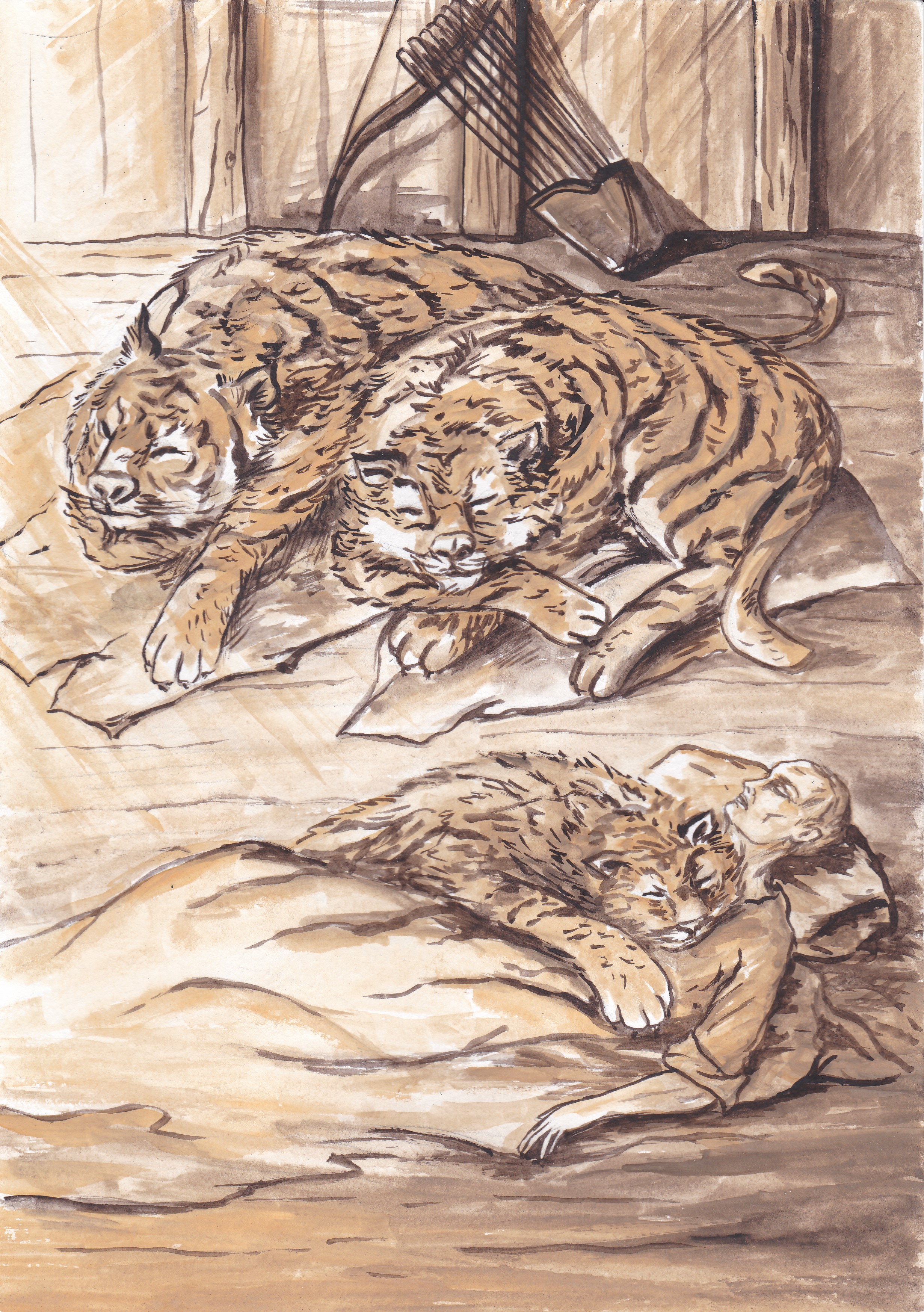 №39_Кошки
