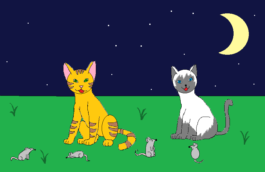 №16_Кошки