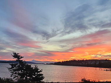 20241011_071645.jpg