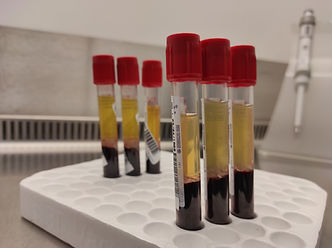 Research Line 3 Clinical Research