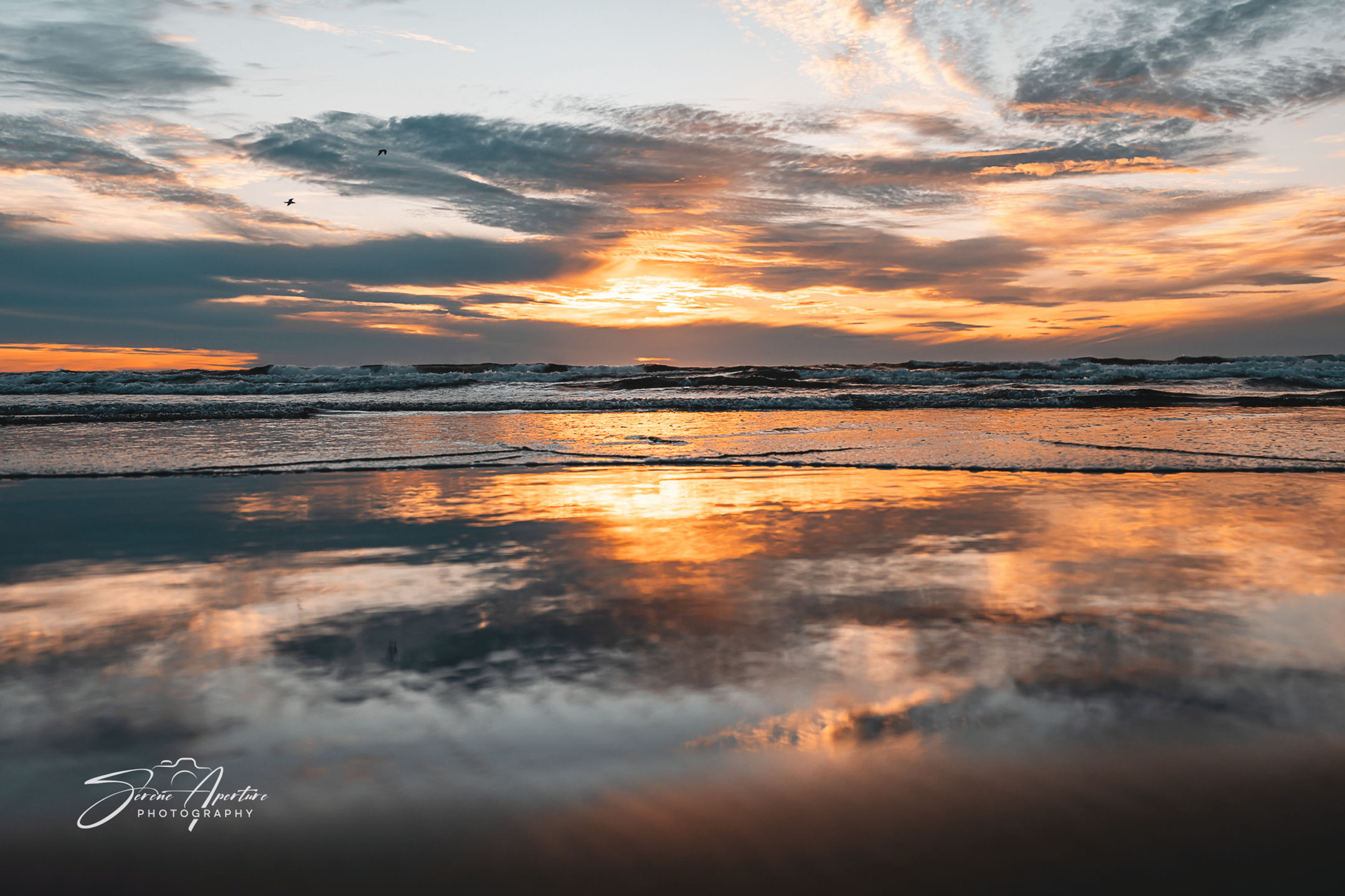 An awakening sunrise over the coast to brighten the day. Fine art perfect for home, office, lobbies, and more for all!