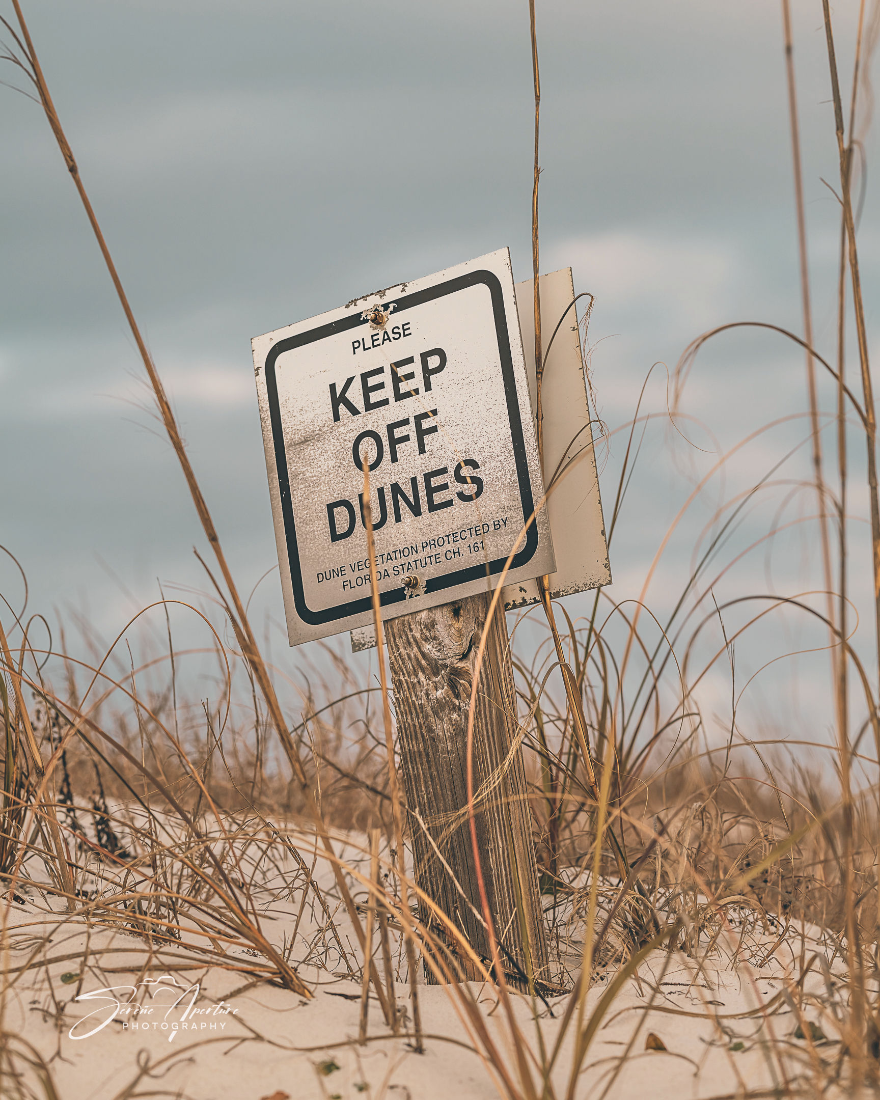 Keep off Dunes sign in the grass on the dunes. Fine art perfect for home, office, lobbies, and more for all to enjoy!