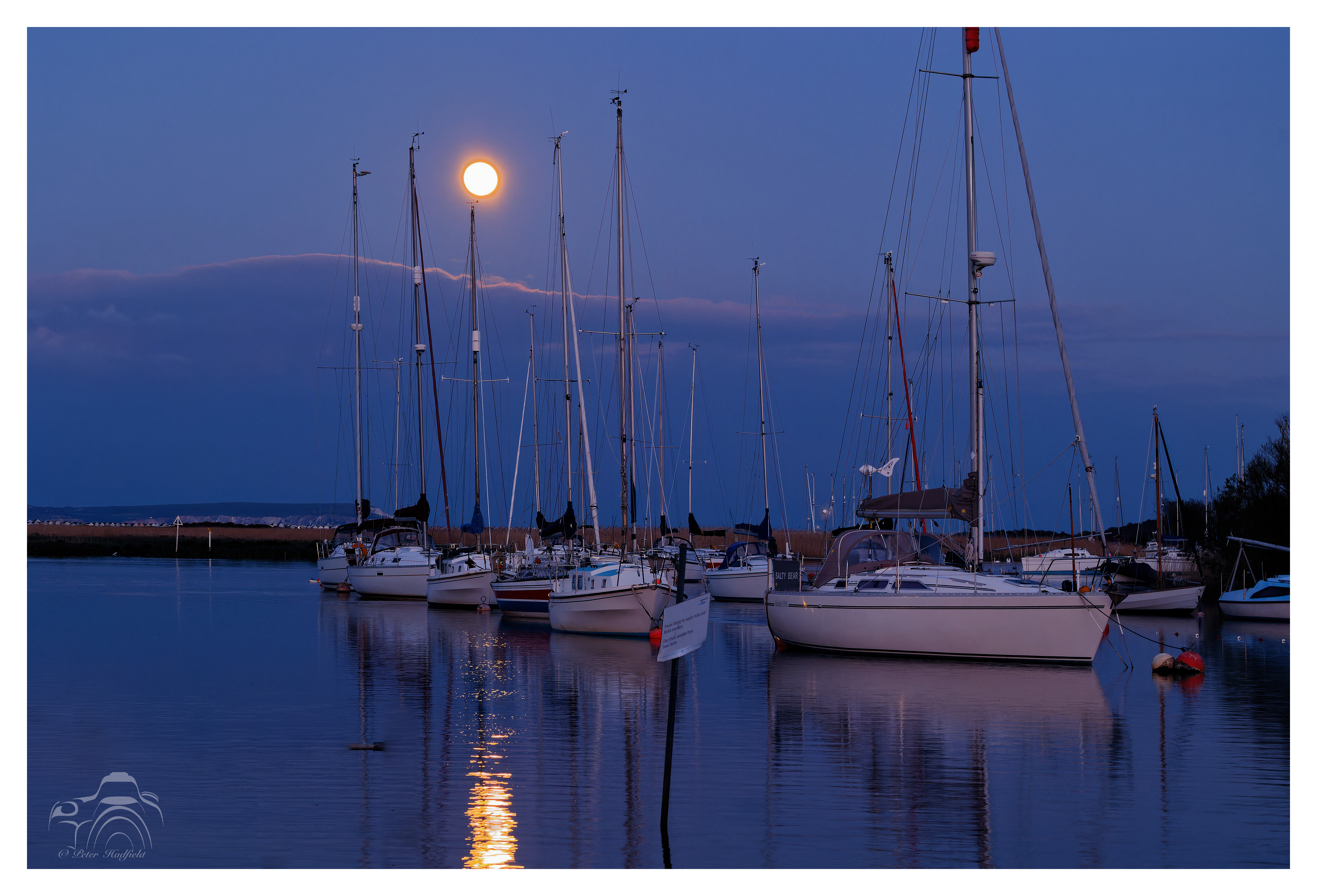 Moonlight. 5M0A6040