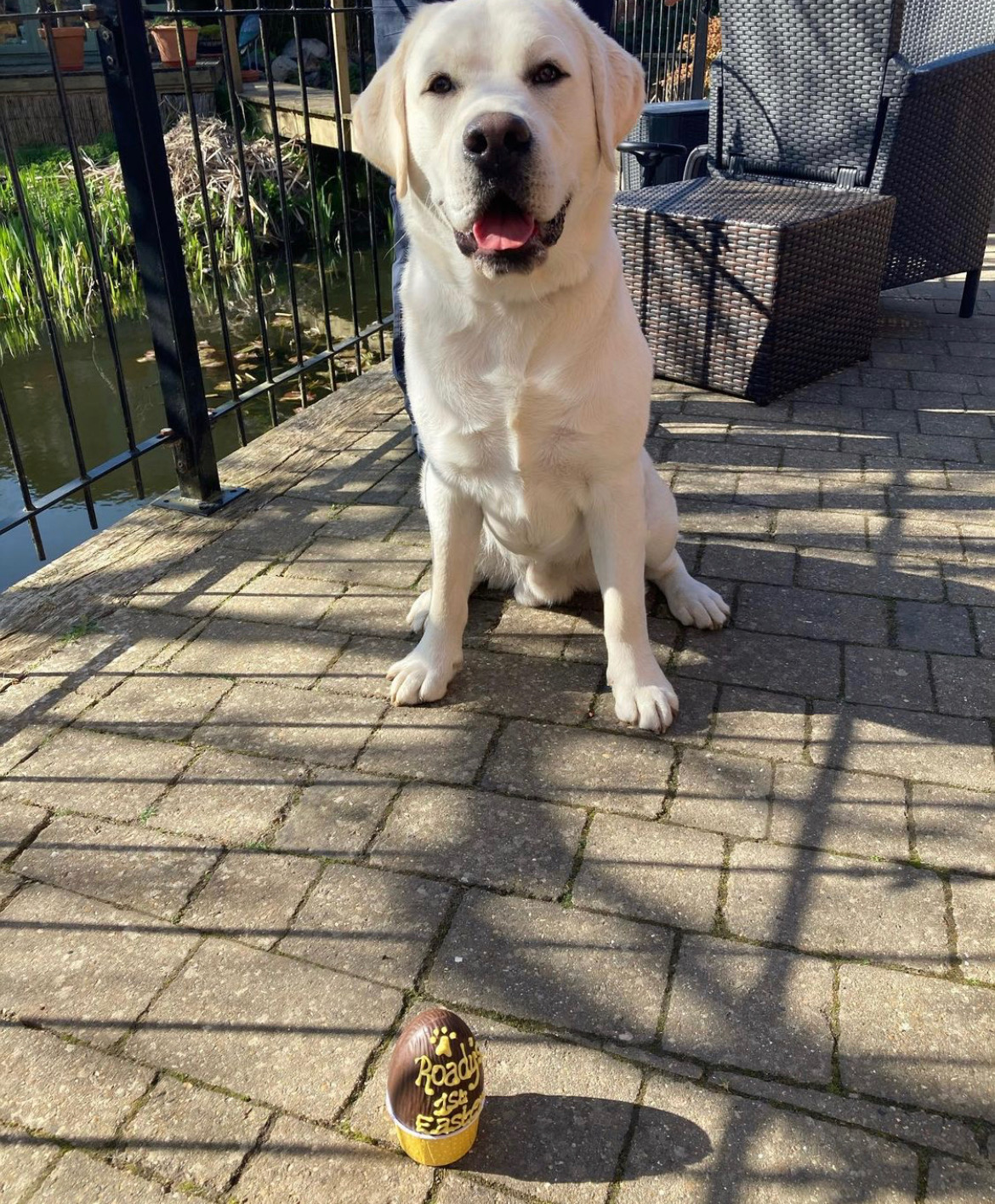 Broady's First Easter!