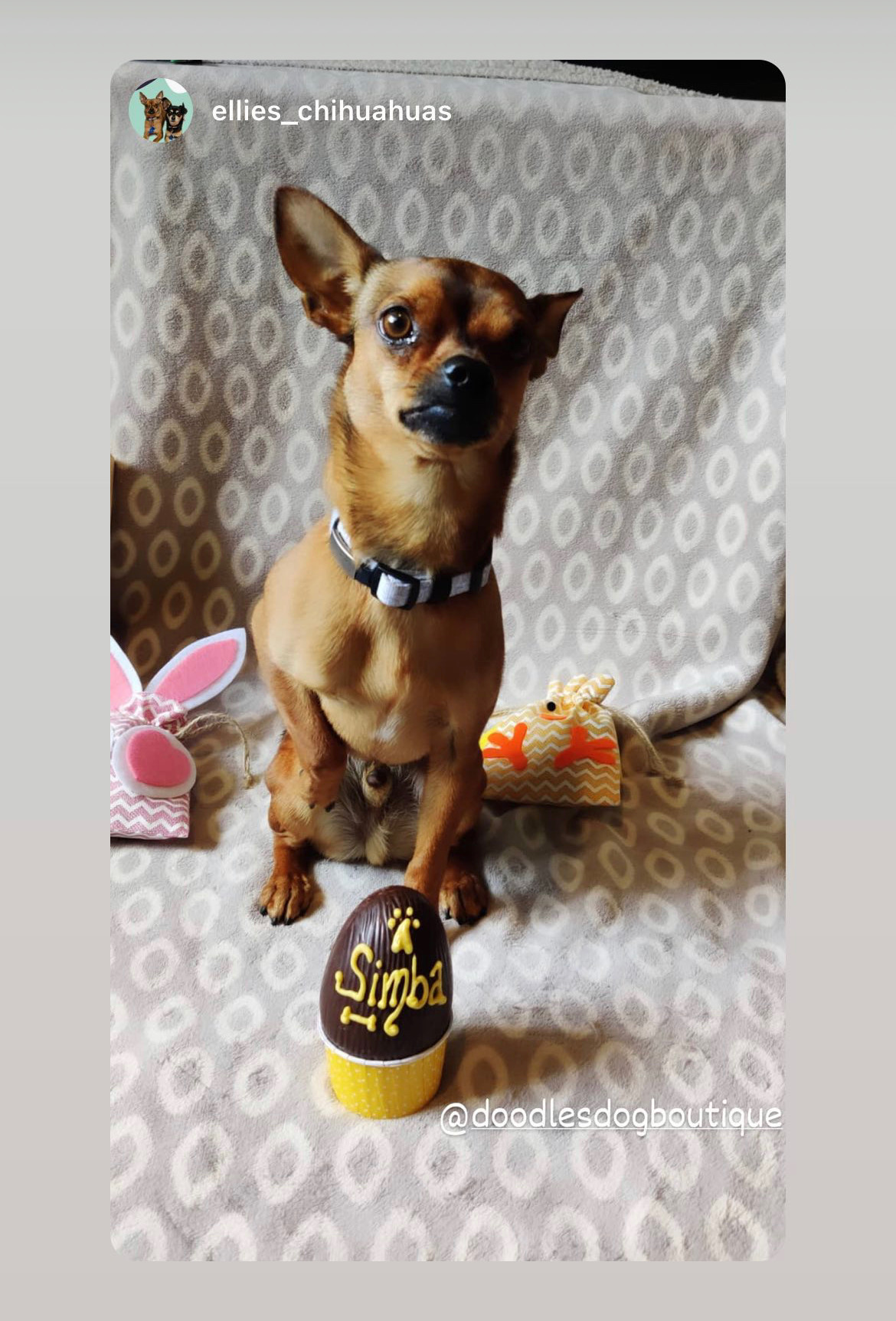 Simba's Easter